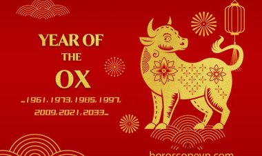 Ox Horoscope: Career, Life, Family, Love And Destiny