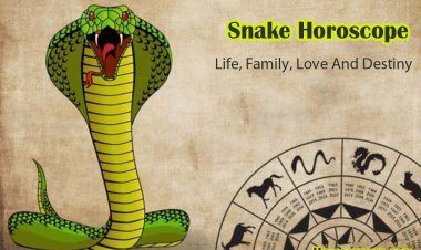 Snake Horoscope: Career, Life, Family, Love And Destiny