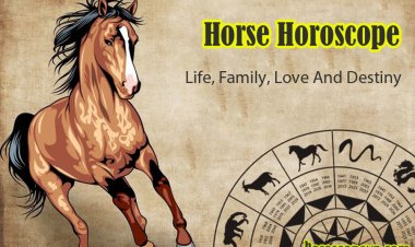 Horse Horoscope: Career, Life, Family, Love And Destiny