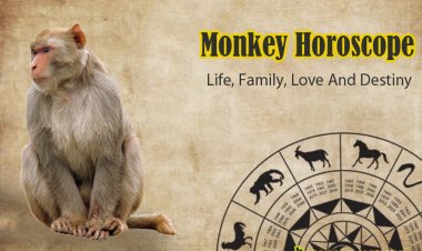 Monkey Horoscope: Career, Life, Family, Love And Destiny