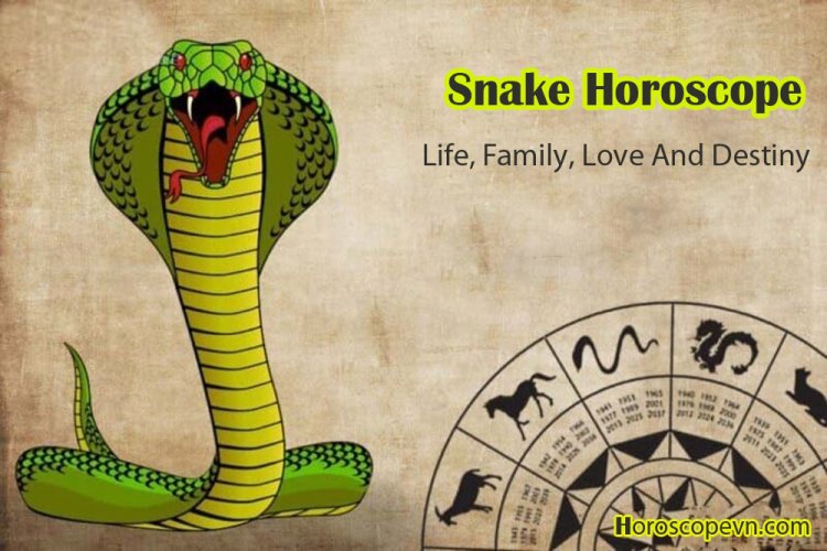 Snake Personality Type Explained. Characteristics of the Snake: Career,  Strengths and Weaknesses