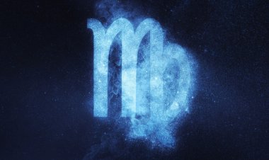 Virgo Zodiac Sign: Personality, Love and Career