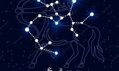 Sagittarius Zodiac Sign: Personality, Love and Career