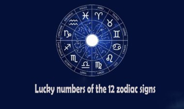 Lucky numbers of the 12 zodiac signs