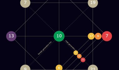Matrix Destiny Chart Couple