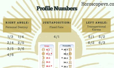 Summary of 12 profiles and 6 lines in Human Design