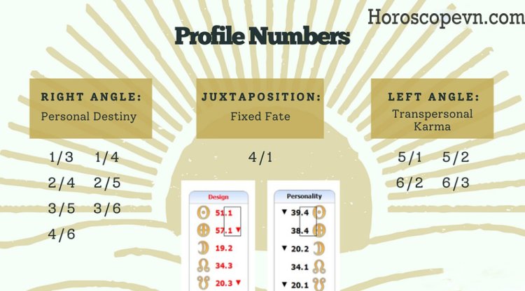 Profile Structure