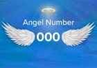 Infinite Potential: What Angel Number 000 Reveals About Your Life, Love & Destiny