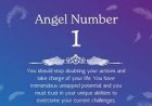Angel Number 1: Your Divine Blueprint for a New Reality